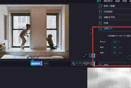 优化器调整图片尺寸技巧