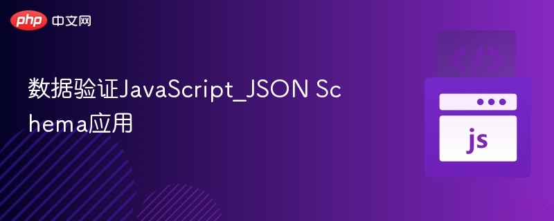 数据验证JavaScript JSON Schema实战指南