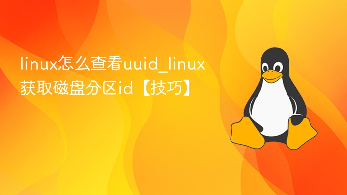 Linux查看UUID及磁盘分区ID方法