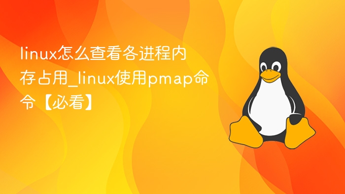 linux怎么查看各进程内存占用_linux使用pmap命令【必看】