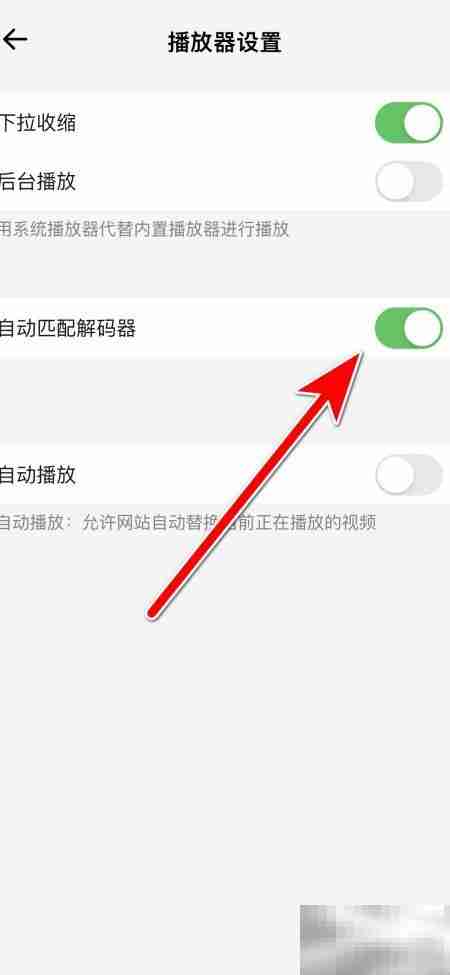 鲨鱼浏览器自动匹配解码器