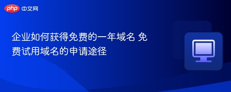 企业免费获取一年域名的技巧与申请方法