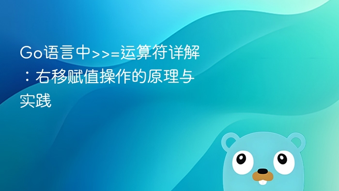 Go语言右移赋值运算符详解