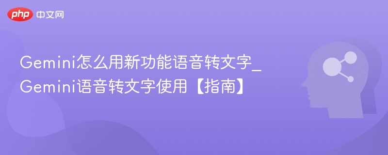 Gemini语音转文字怎么用【指南】
