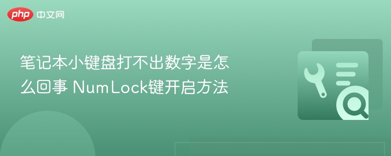 小键盘无法输入数字？教你开启NumLock键方法