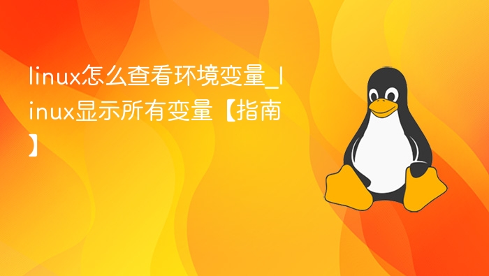 Linux查看环境变量方法【指南】