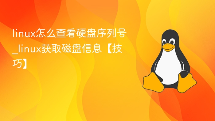 Linux查看硬盘序列号技巧