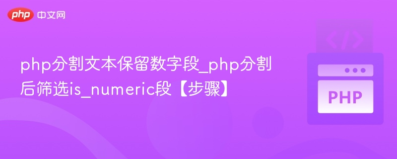 PHP分割文本保留数字，筛选is_numeric段步骤