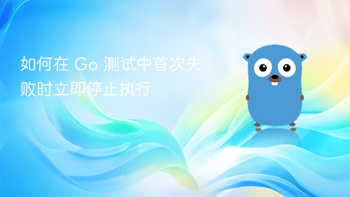 如何在 Go 测试中首次失败时立即停止执行
