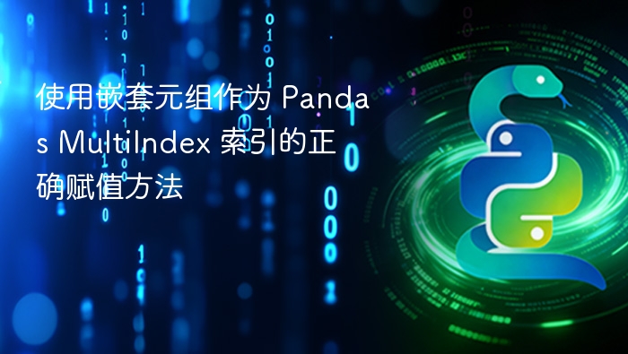 使用嵌套元组作为 Pandas MultiIndex 索引的正确赋值方法
