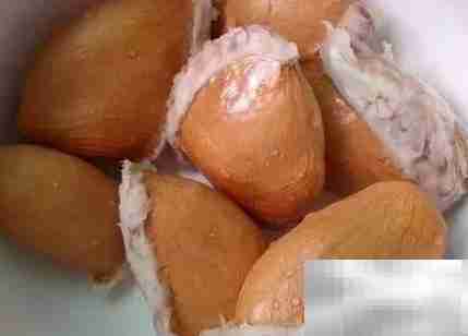 干尧与金枕榴莲有何不同