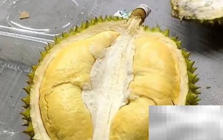 干尧与金枕榴莲区别解析