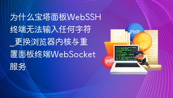 为什么宝塔面板WebSSH终端无法输入任何字符_更换浏览器内核与重置面板终端WebSocket服务