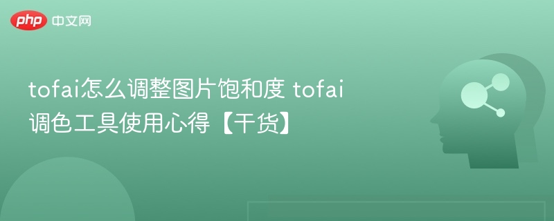 tofai怎么调整图片饱和度 tofai调色工具使用心得【干货】
