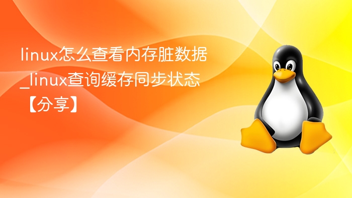 Linux内存脏数据与缓存同步查看方法