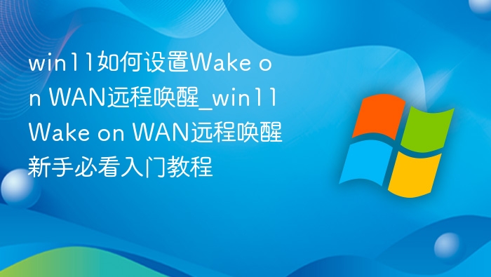 win11如何设置Wake on WAN远程唤醒_win11Wake on WAN远程唤醒新手必看入门教程
