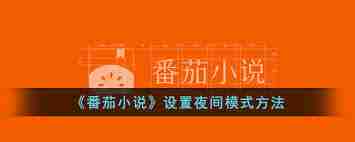 番茄音乐如何设置夜间模式