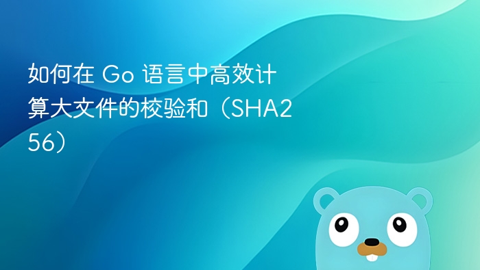 如何在 Go 语言中高效计算大文件的校验和（SHA256）
