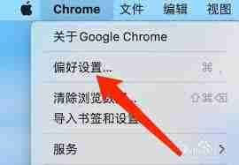 谷歌浏览器如何进行安全检查