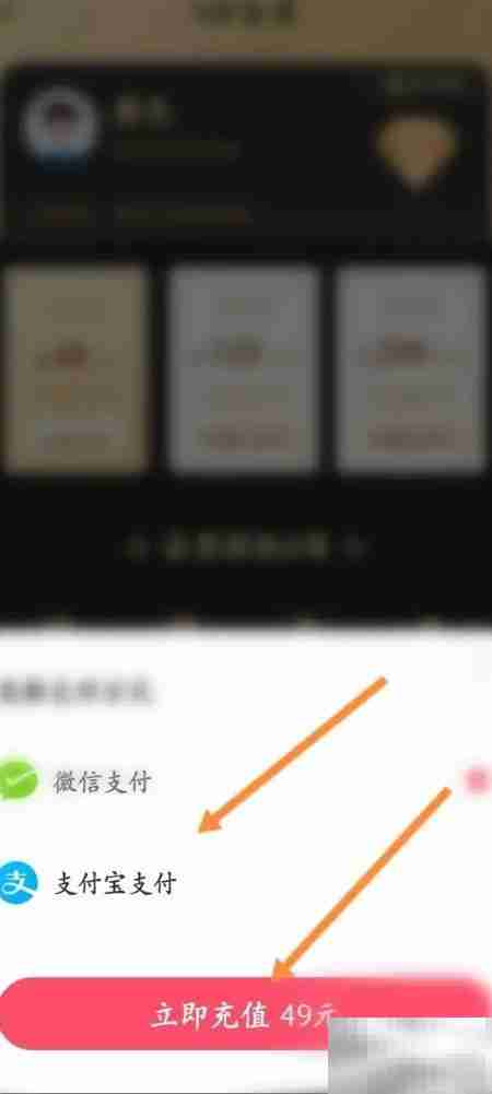 伊糖软件会员开通指南