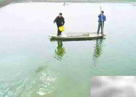 EM菌原液使用指南