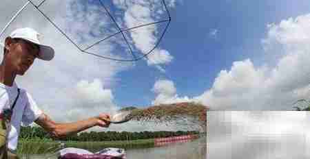 EM菌原液使用指南