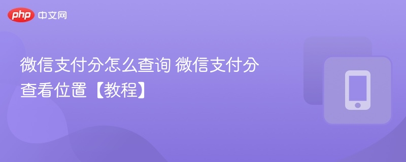 微信支付分怎么查询 微信支付分查看位置【教程】