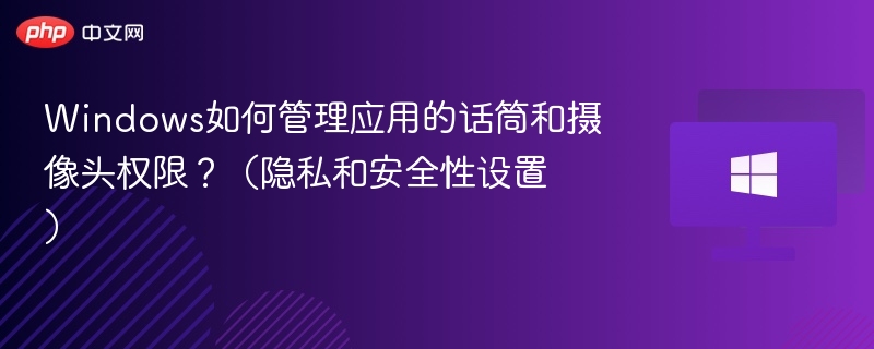 Windows如何管理应用的话筒和摄像头权限?(隐私和安全性设置)