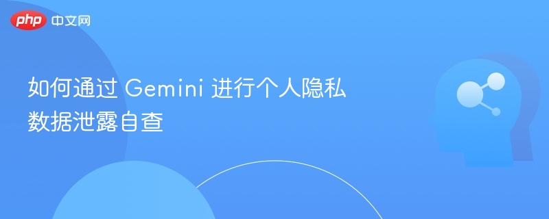 Gemini自查隐私泄露风险指南
