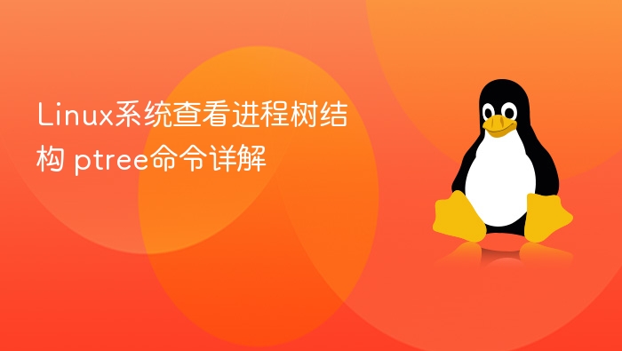 Linux系统查看进程树结构 ptree命令详解