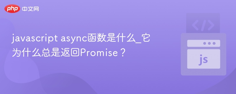 javascript async函数是什么_它为什么总是返回Promise?