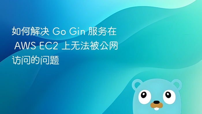 Gin服务无法访问？EC2公网访问解决方法