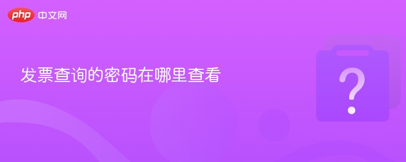 发票查询的密码在哪里查看