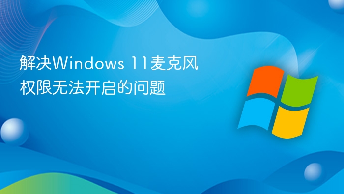 Windows11麦克风权限无法开启怎么解决