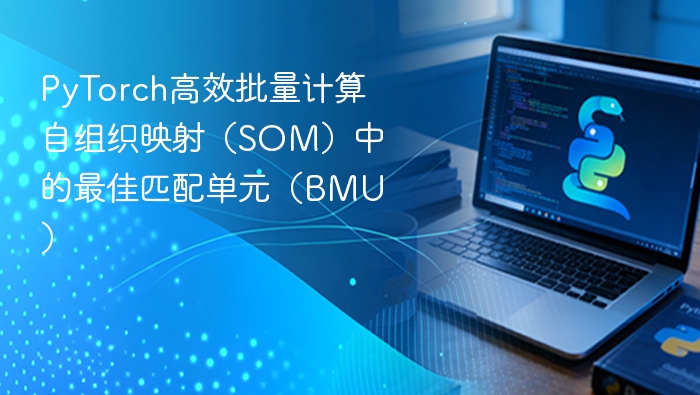 PyTorch高效批量计算自组织映射（SOM）中的最佳匹配单元（BMU）
