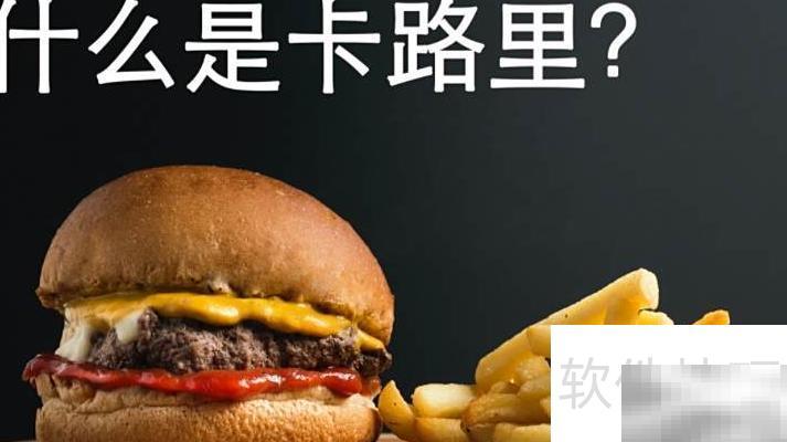 卡路里是什么？详解热量单位