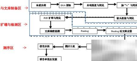 产前筛查实验室建设标准与流程
