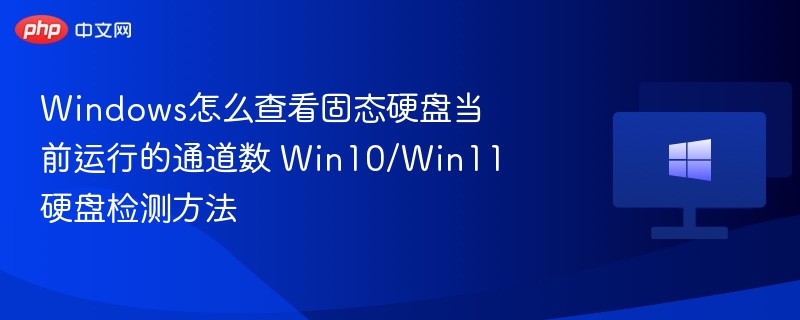 Windows怎么查看固态硬盘当前运行的通道数 Win10/Win11硬盘检测方法