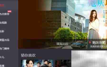 Matroska媒体设置指南