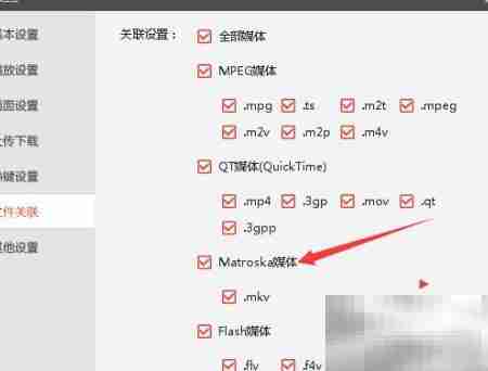 Matroska媒体设置指南