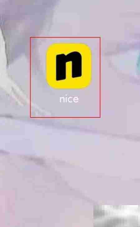 Nice卖鞋全流程解析