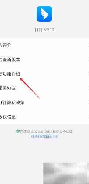 钉钉新功能查看方法