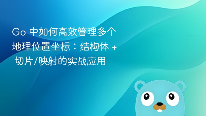 Go结构体与切片映射坐标管理实战