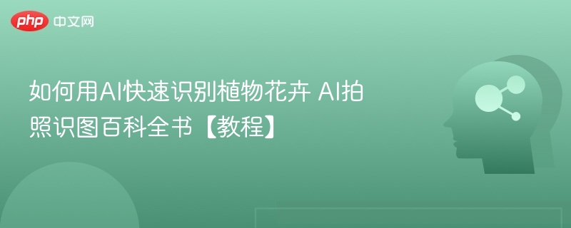 AI识别植物花卉快速教程