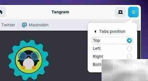 桌面应用Web查看器解析
