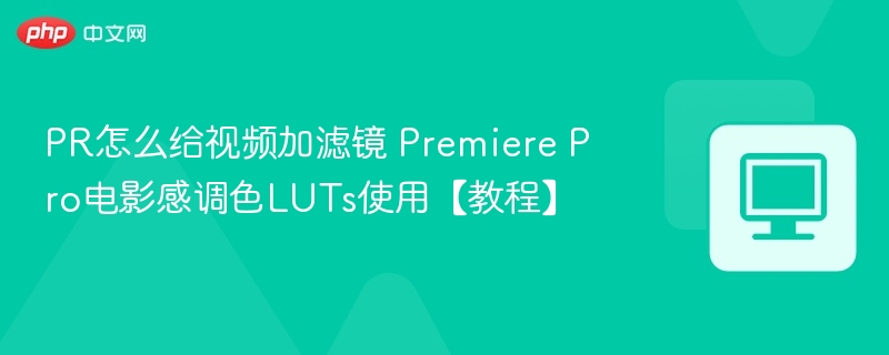 PR怎么给视频加滤镜 Premiere Pro电影感调色LUTs使用【教程】