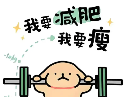 喝水减肥有科学依据吗？正确方法揭秘