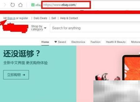 eBay店铺报告下载步骤详解