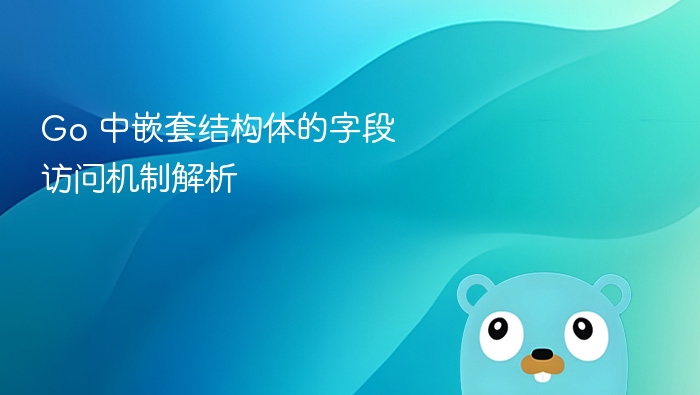 Go语言嵌套结构体字段访问全解析