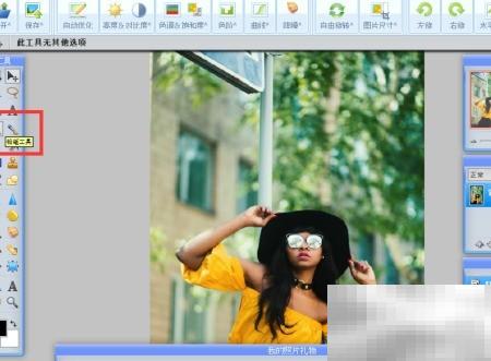 WebP铅笔工具使用技巧全解析